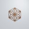 Ekena Millwork Medium Hampton Decorative Fretwork Wood Wall Panels, Walnut, 15 3/8"W x 17 3/4"H x 3/8"T WALW16X16X0375HMPWA - alternate 2